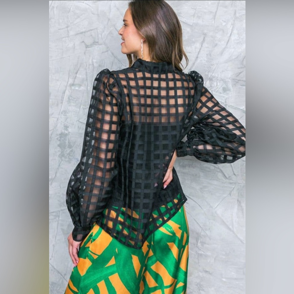 NWT SOPHIA Sheer Checkered Long Sleeve Blouse | Boutique